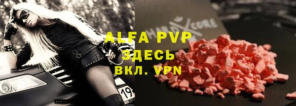 крисы Киренск
