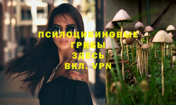 меф Кинешма