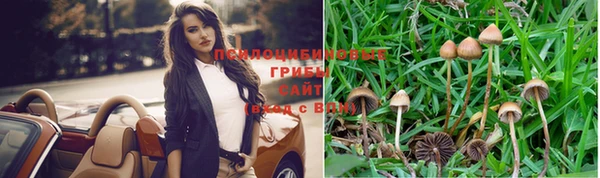 меф Кинешма