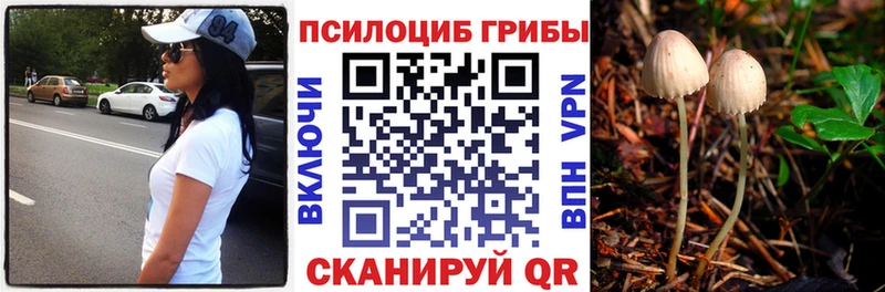 KRAKEN tor  Новоалександровск  Псилоцибиновые грибы GOLDEN TEACHER 