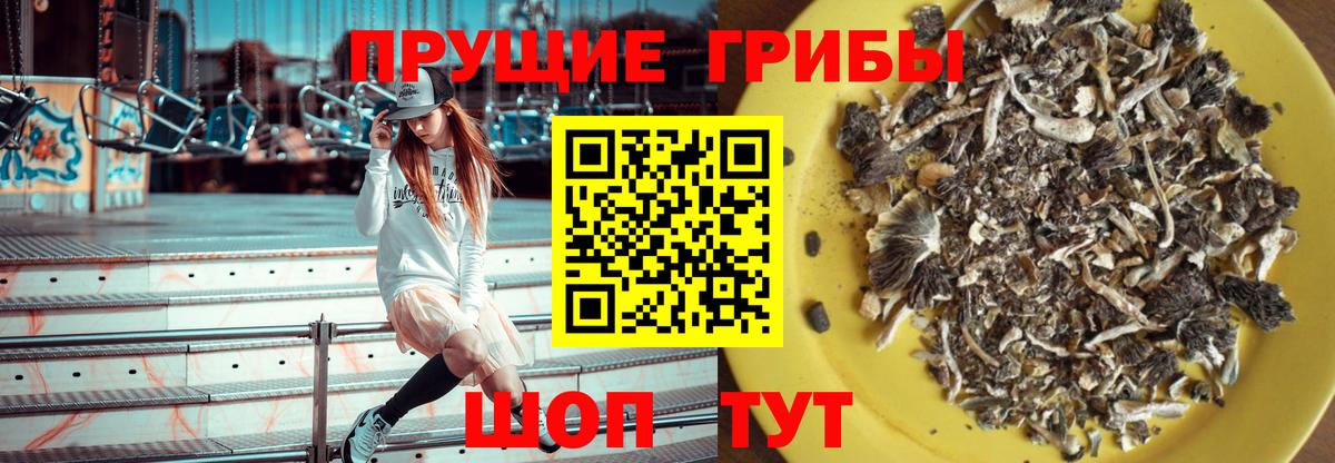 Псилоцибиновые грибы мухоморы Новоалександровск